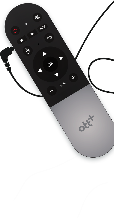 remote and cable
